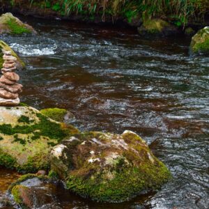 river, rocks, moss-5967931.jpg
